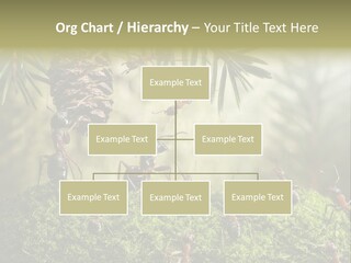 Fur Swear Tales PowerPoint Template