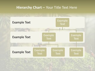 Fur Swear Tales PowerPoint Template