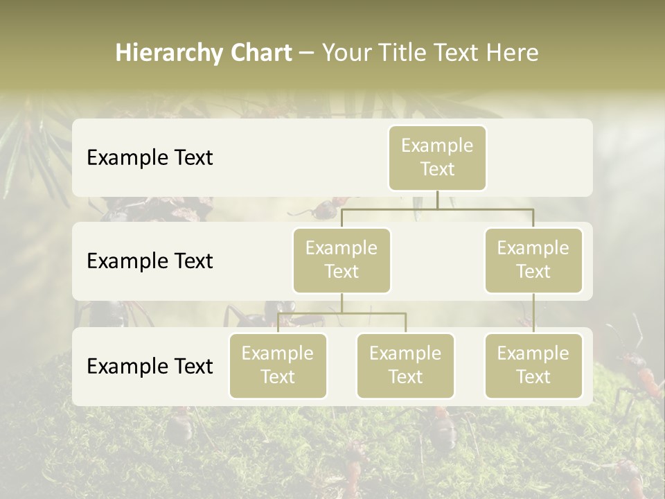 Fur Swear Tales PowerPoint Template
