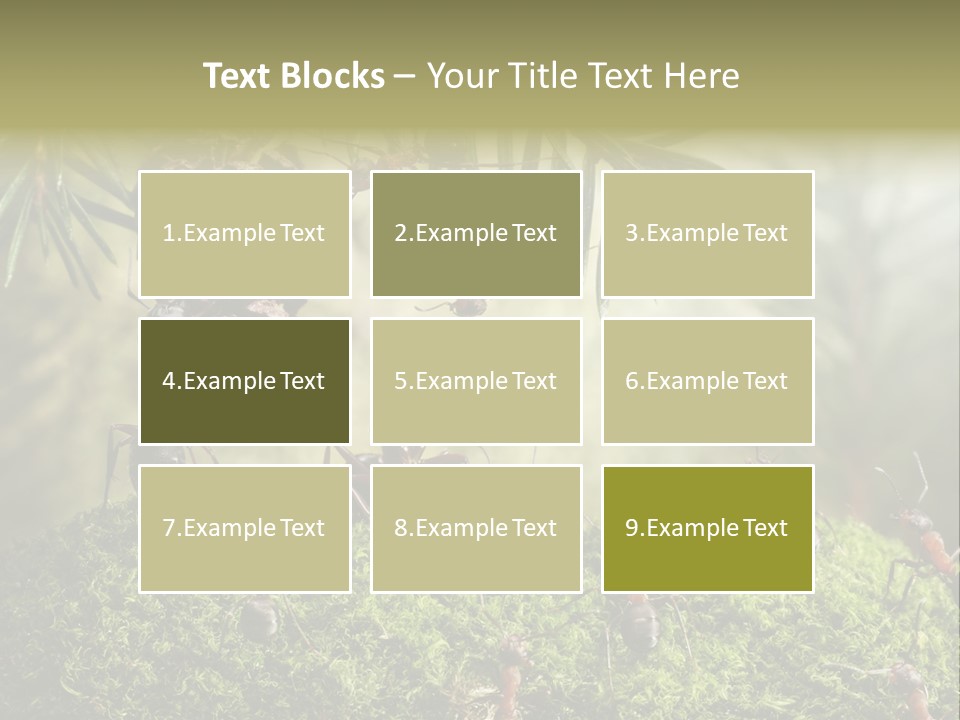 Fur Swear Tales PowerPoint Template