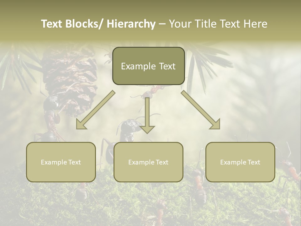 Fur Swear Tales PowerPoint Template