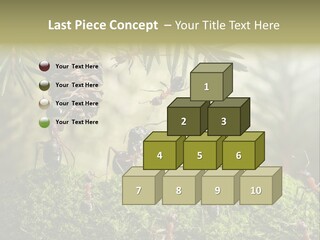 Fur Swear Tales PowerPoint Template