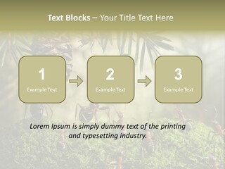 Fur Swear Tales PowerPoint Template