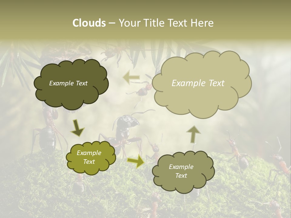 Fur Swear Tales PowerPoint Template