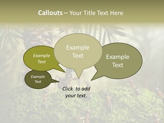 Fur Swear Tales PowerPoint Template