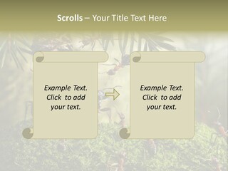 Fur Swear Tales PowerPoint Template