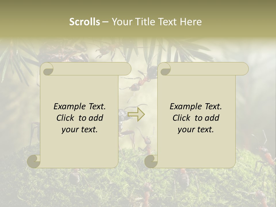 Fur Swear Tales PowerPoint Template