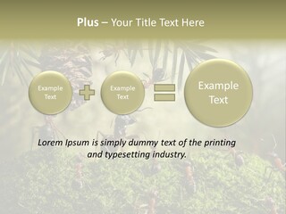 Fur Swear Tales PowerPoint Template