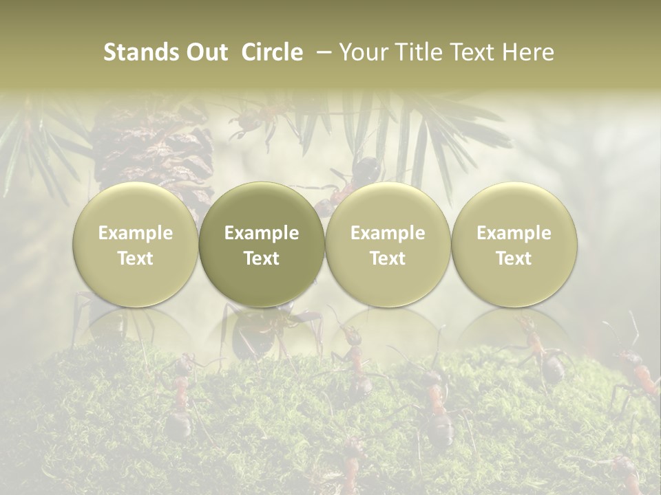 Fur Swear Tales PowerPoint Template