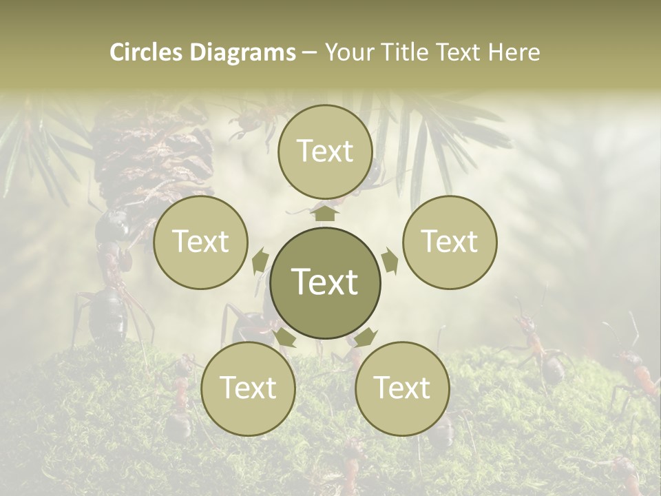 Fur Swear Tales PowerPoint Template