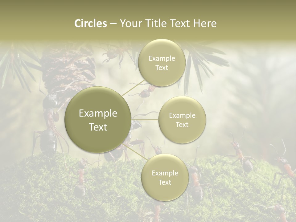 Fur Swear Tales PowerPoint Template