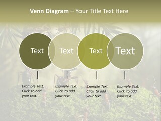 Fur Swear Tales PowerPoint Template