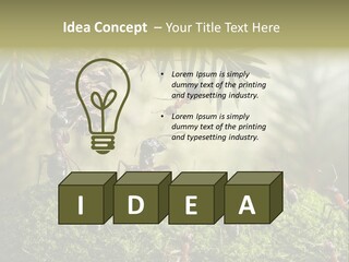 Fur Swear Tales PowerPoint Template