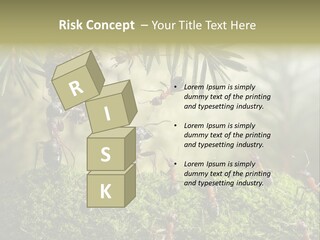 Fur Swear Tales PowerPoint Template