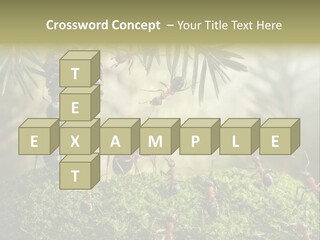 Fur Swear Tales PowerPoint Template