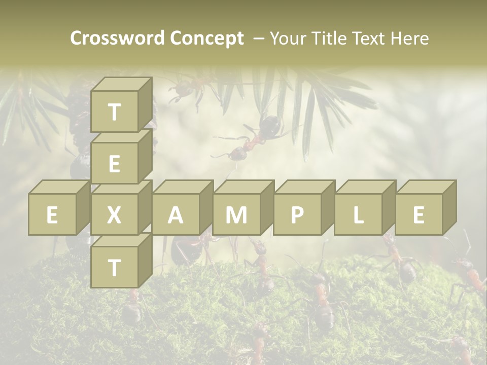 Fur Swear Tales PowerPoint Template