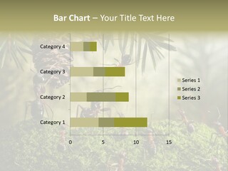 Fur Swear Tales PowerPoint Template