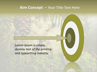 Fur Swear Tales PowerPoint Template