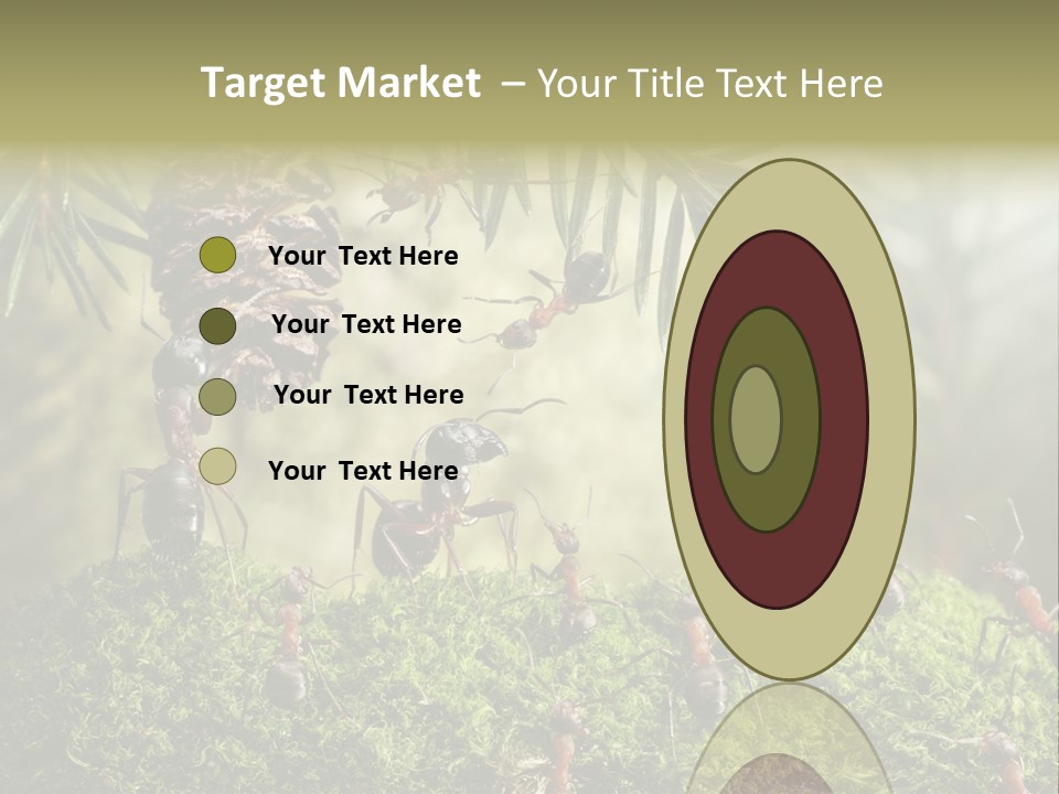 Fur Swear Tales PowerPoint Template