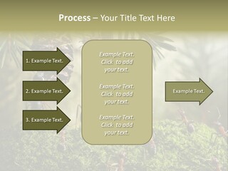 Fur Swear Tales PowerPoint Template