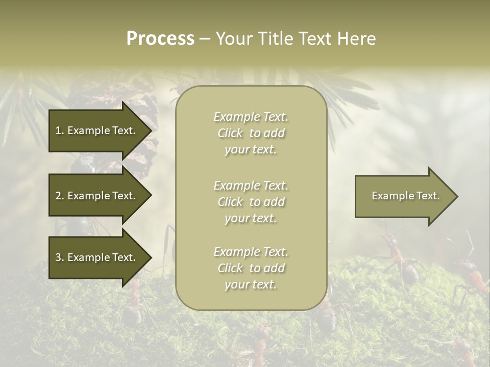 Fur Swear Tales PowerPoint Template
