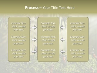 Fur Swear Tales PowerPoint Template