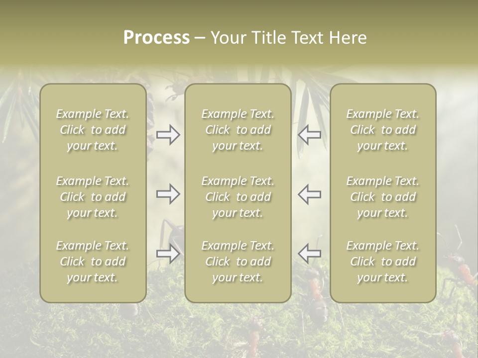 Fur Swear Tales PowerPoint Template