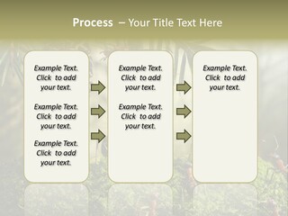 Fur Swear Tales PowerPoint Template