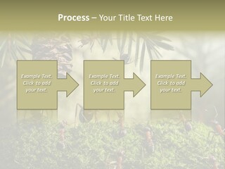 Fur Swear Tales PowerPoint Template