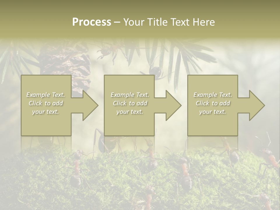 Fur Swear Tales PowerPoint Template