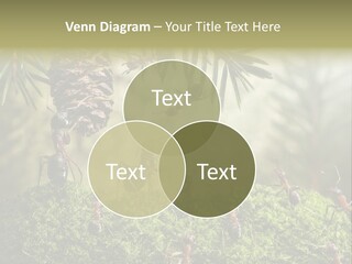 Fur Swear Tales PowerPoint Template