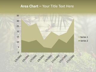 Fur Swear Tales PowerPoint Template