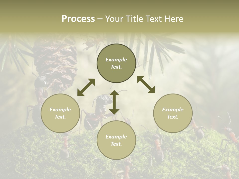 Fur Swear Tales PowerPoint Template