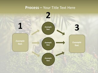 Fur Swear Tales PowerPoint Template