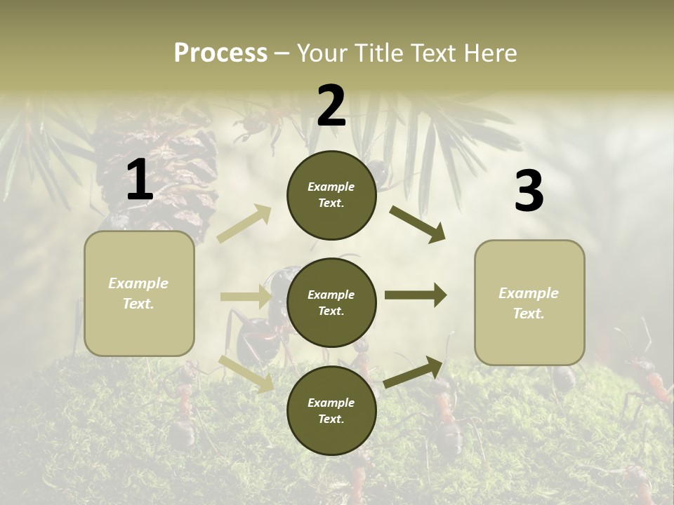 Fur Swear Tales PowerPoint Template