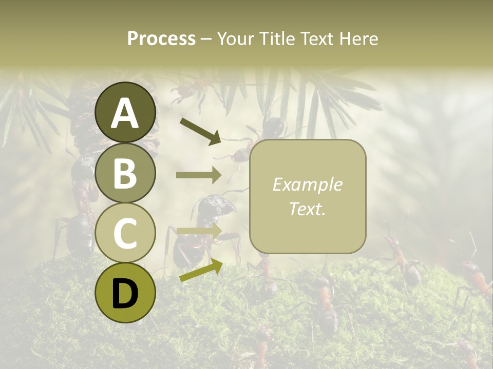 Fur Swear Tales PowerPoint Template