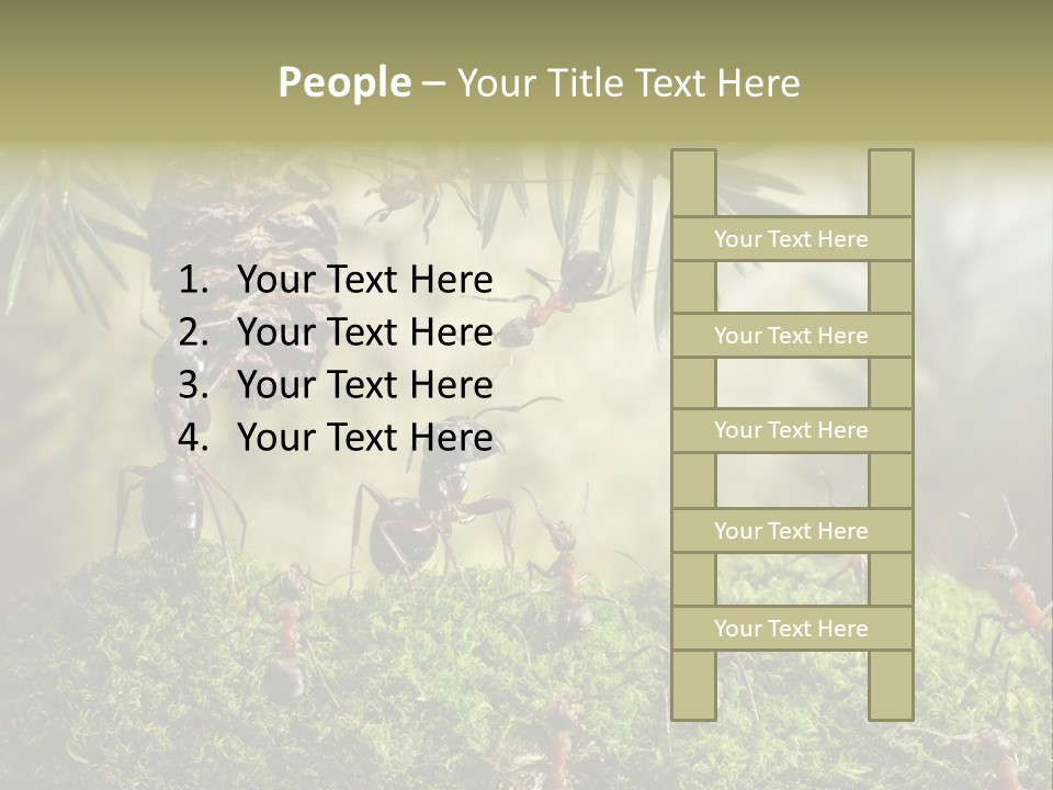 Fur Swear Tales PowerPoint Template