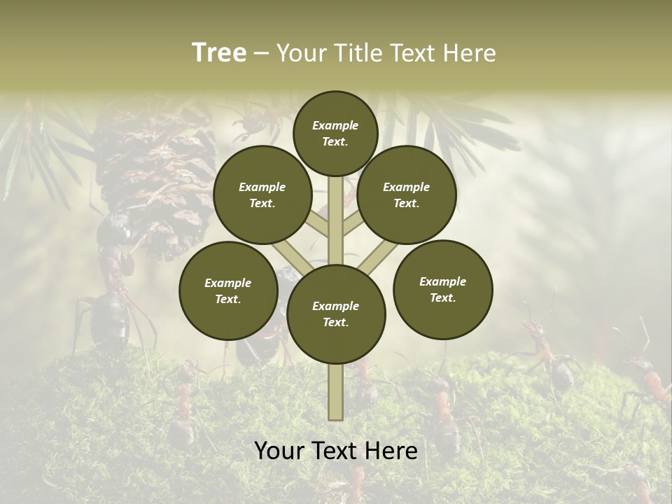 Fur Swear Tales PowerPoint Template