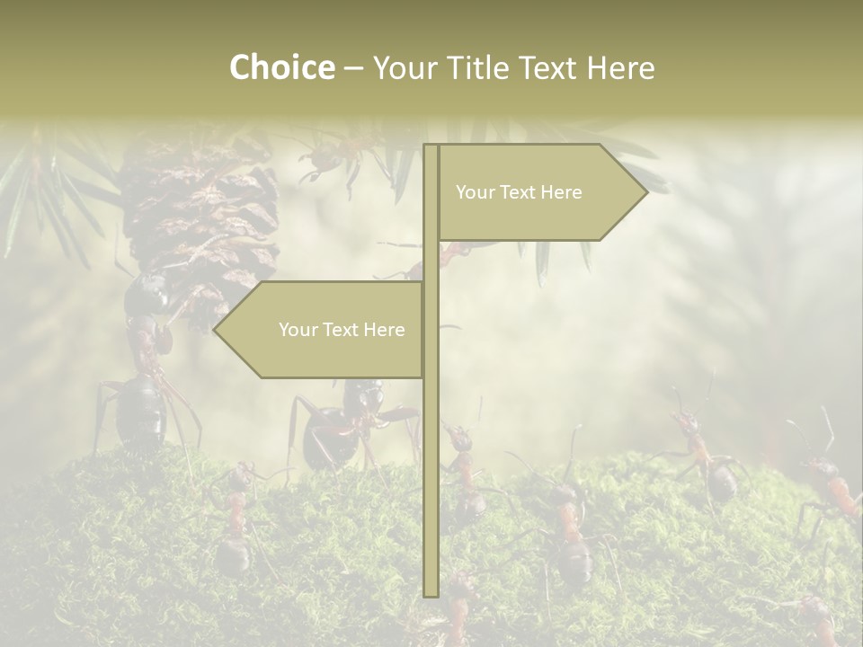 Fur Swear Tales PowerPoint Template