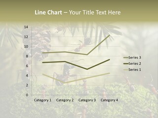 Fur Swear Tales PowerPoint Template