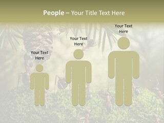 Fur Swear Tales PowerPoint Template