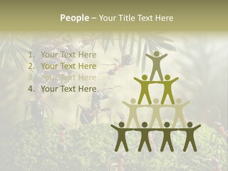 Fur Swear Tales PowerPoint Template