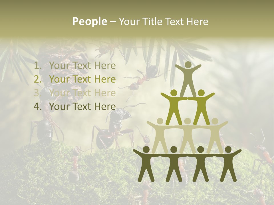 Fur Swear Tales PowerPoint Template