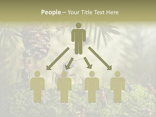 Fur Swear Tales PowerPoint Template