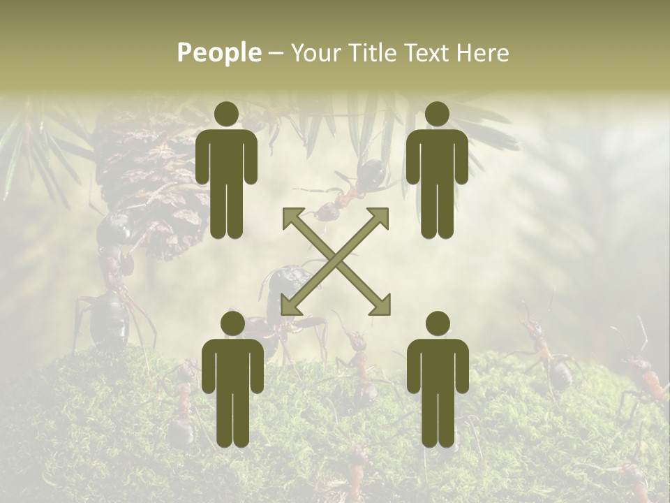 Fur Swear Tales PowerPoint Template