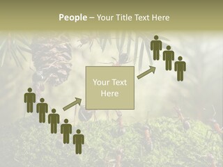 Fur Swear Tales PowerPoint Template