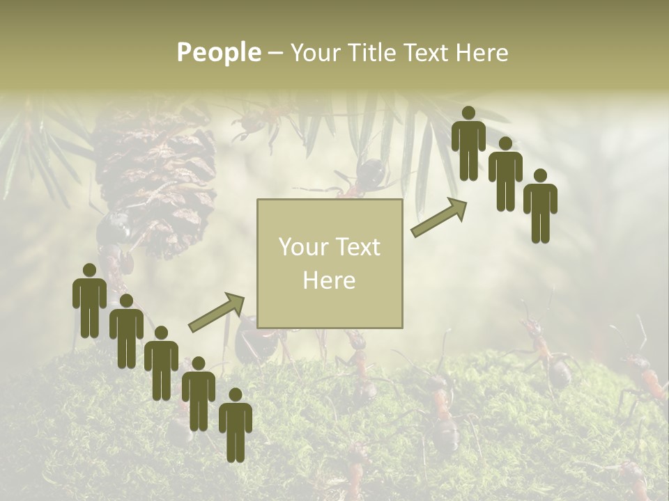 Fur Swear Tales PowerPoint Template