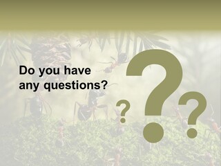 Fur Swear Tales PowerPoint Template