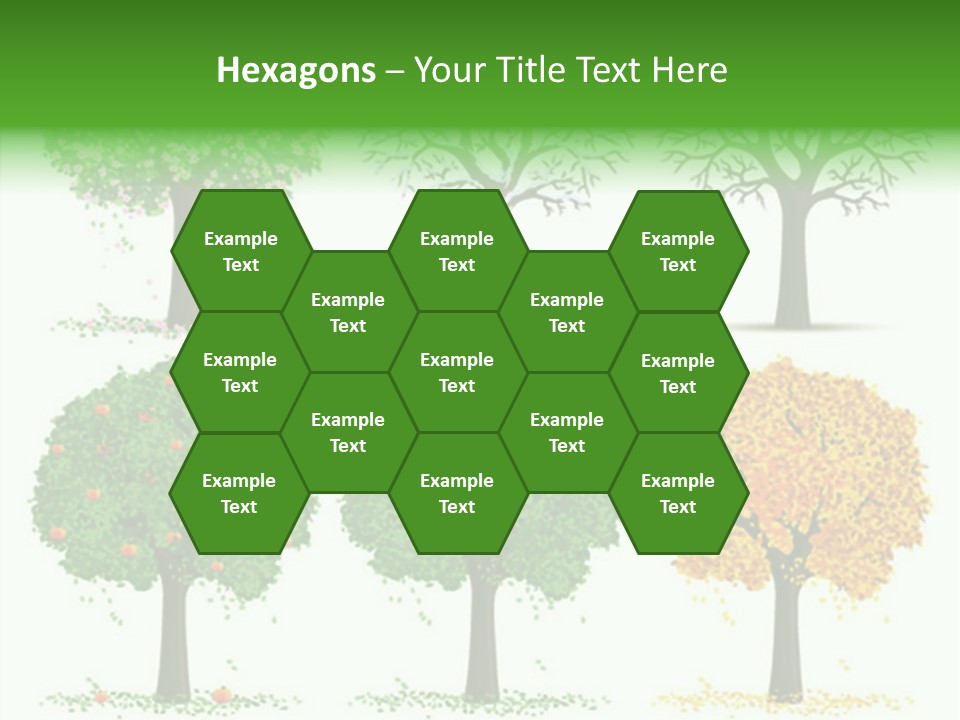 A Group Of Trees With Different Types Of Leaves PowerPoint Template