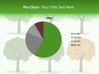 A Group Of Trees With Different Types Of Leaves PowerPoint Template